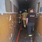 zdjęcie nr 11
