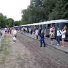 zdjęcie nr 31