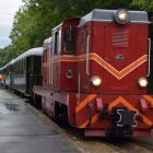 zdjęcie nr 152