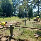 zdjęcie nr 7