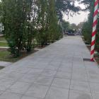 zdjęcie nr 8