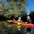 zdjęcie nr 25