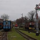 zdjęcie nr 15