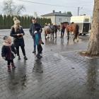 zdjęcie nr 22