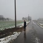 zdjęcie nr 10