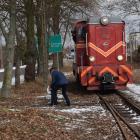zdjęcie nr 12