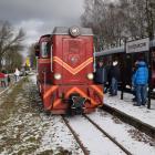 zdjęcie nr 15