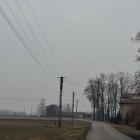 zdjęcie nr 22