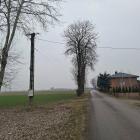 zdjęcie nr 23