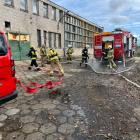 Fotka nr 2 z 16