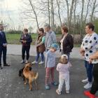 zdjęcie nr 14