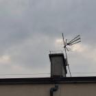 Fotka nr 1 z 11