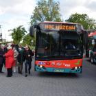zdjęcie nr 8