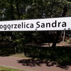 zdjęcie nr 24
