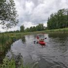 zdjęcie nr 12