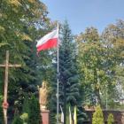 zdjęcie nr 7