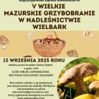 Fotka nr 5 z 6