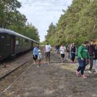 zdjęcie nr 24