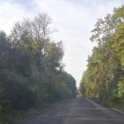zdjęcie nr 11