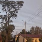 zdjęcie nr 15