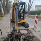 Fotka nr 4 z 10
