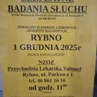 zdjęcie nr 4