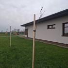 zdjęcie nr 12