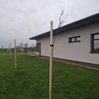 zdjęcie nr 20