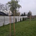zdjęcie nr 23