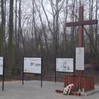 zdjęcie nr 8