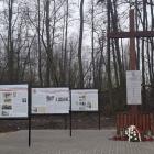 zdjęcie nr 19