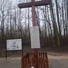 zdjęcie nr 25