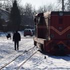 zdjęcie nr 10
