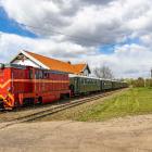 zdjęcie nr 81