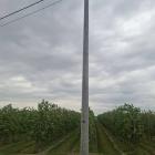 Fotka nr 3 z 12