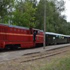 zdjęcie nr 44