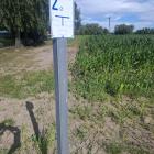 zdjęcie nr 8