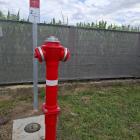 Fotka nr 5 z 17