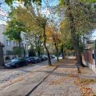 zdjęcie nr 83