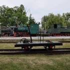 Fotka nr 5 z 12