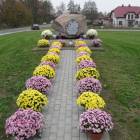 zdjęcie nr 31