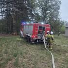 Fotka nr 2 z 10