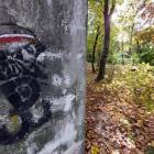zdjęcie nr 94