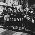 zdjęcie nr 97