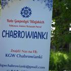 zdjęcie nr 19