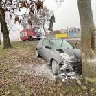 Fotka nr 1 z 4