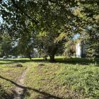 zdjęcie nr 8