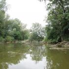 zdjęcie nr 38