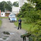 zdjęcie nr 59
