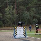 zdjęcie nr 36